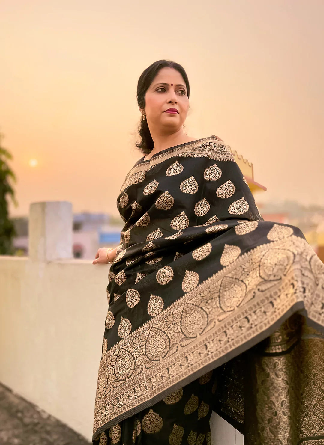 Black Banarasi Cotton Saree - TREEVESTO