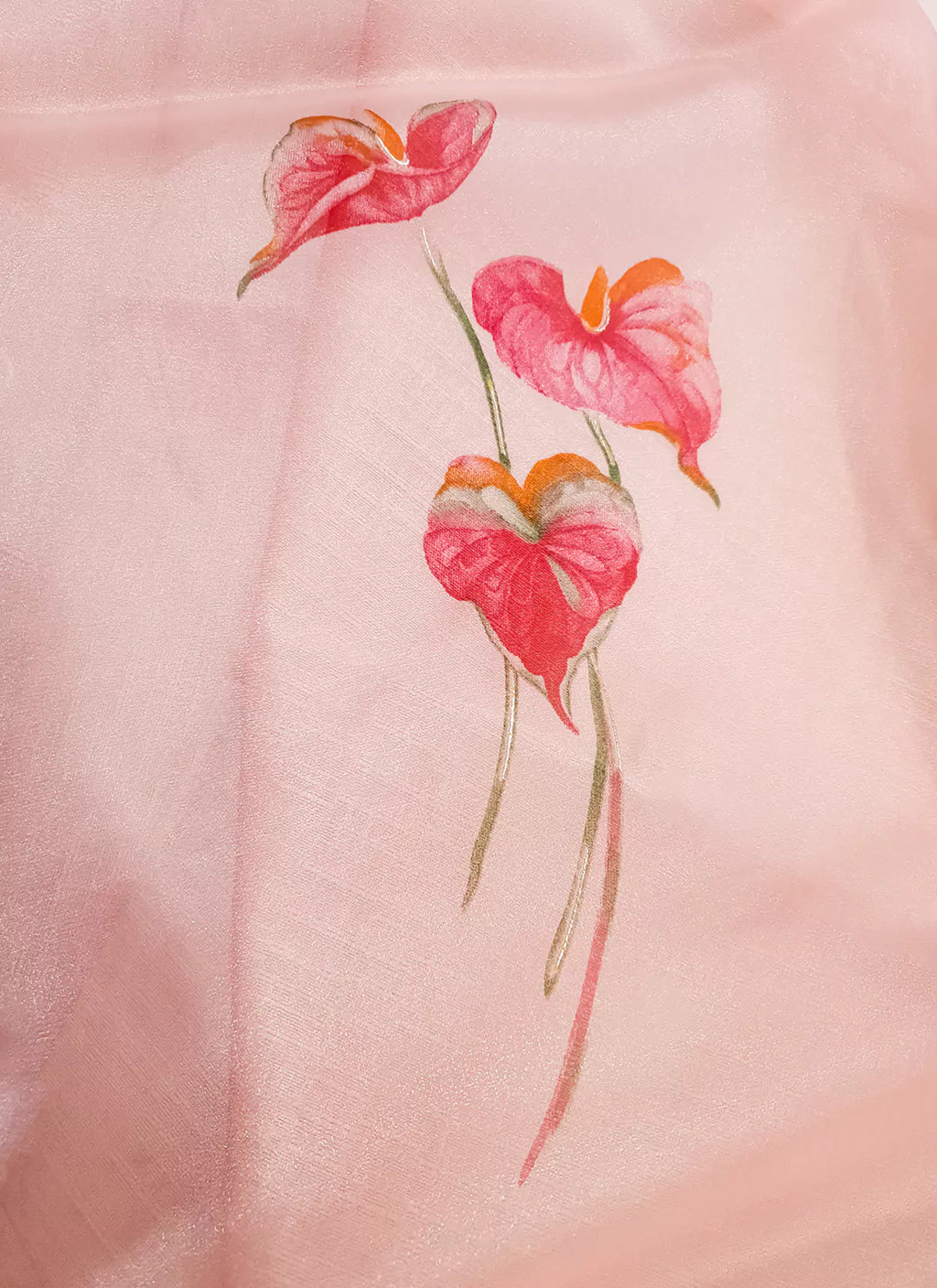 Floral Print Salmon Pink Organza Saree - TREEVESTO
