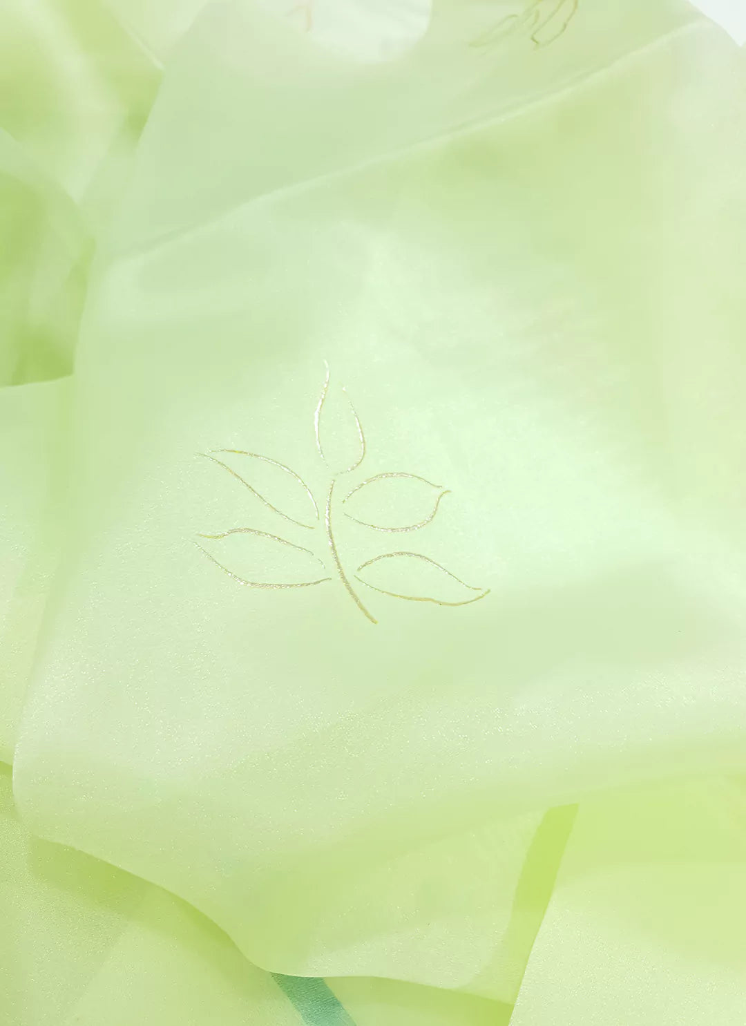 Floral Print Soft Green Organza Saree - TREEVESTO