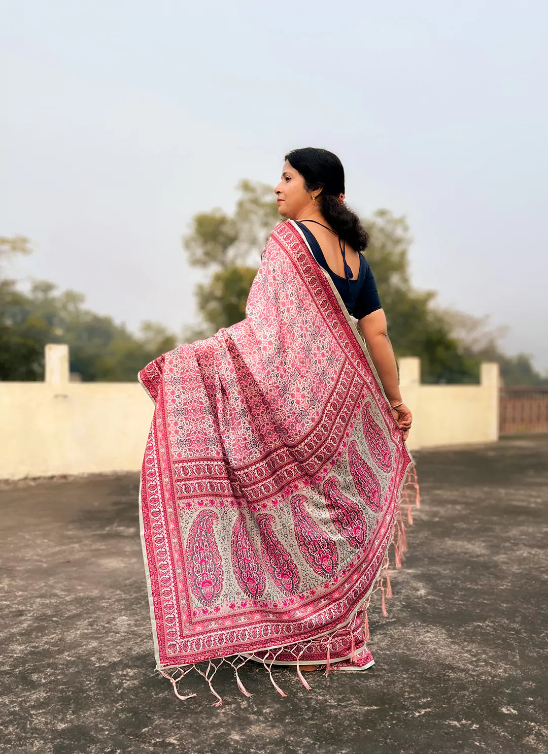 Kashmiri Print Light Pink Pashmina Silk Saree treevesto