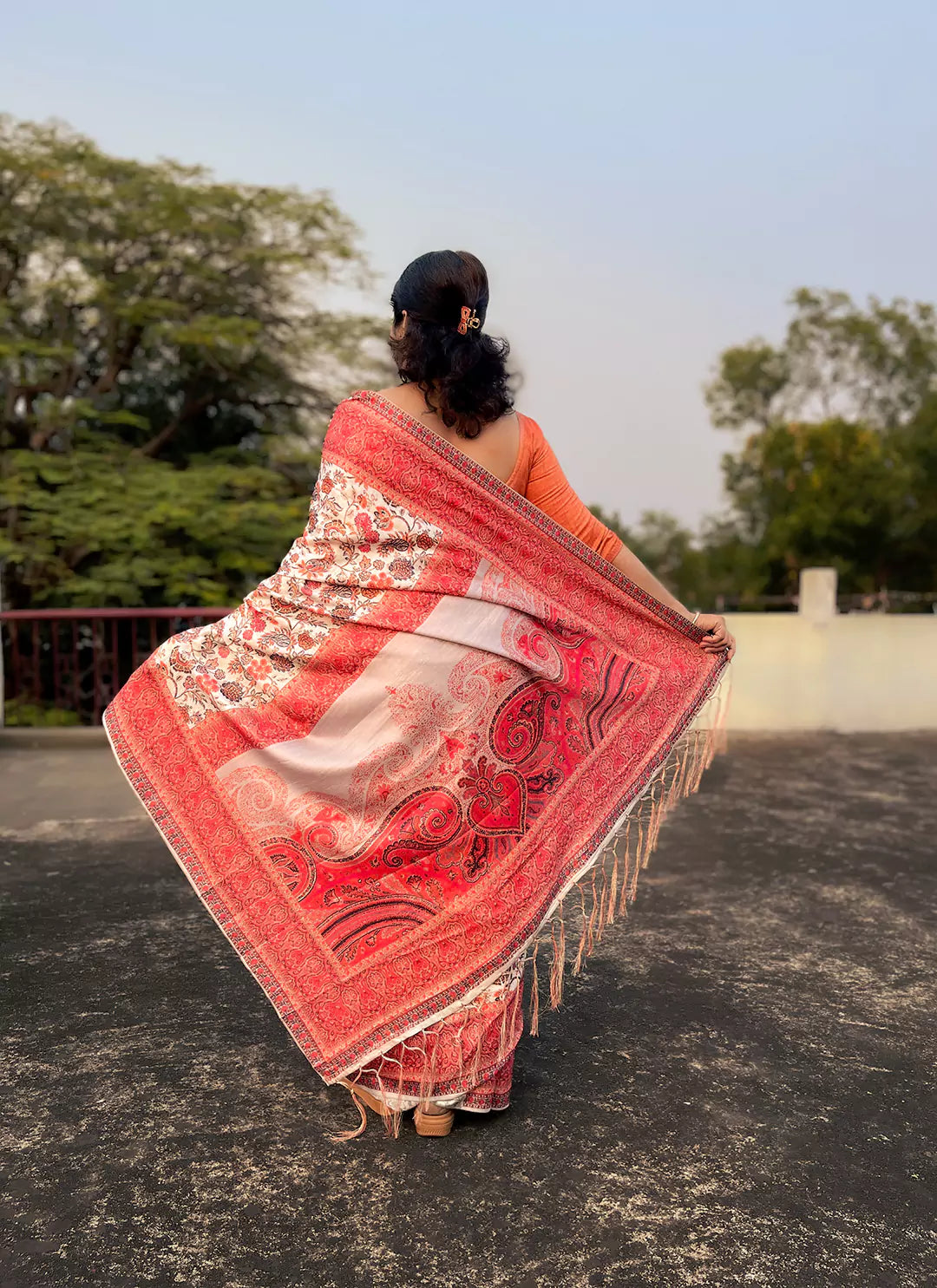 Kashmiri Print Pista Green Pashmina Silk Saree treevesto